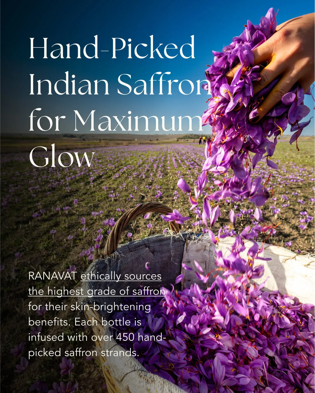 Brightening Saffron Serum