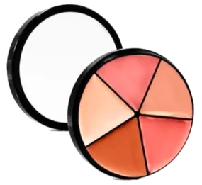 Lip Palettes