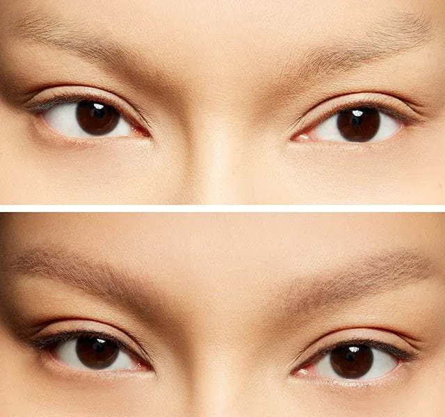 Pro Longwear Waterproof Brow Set